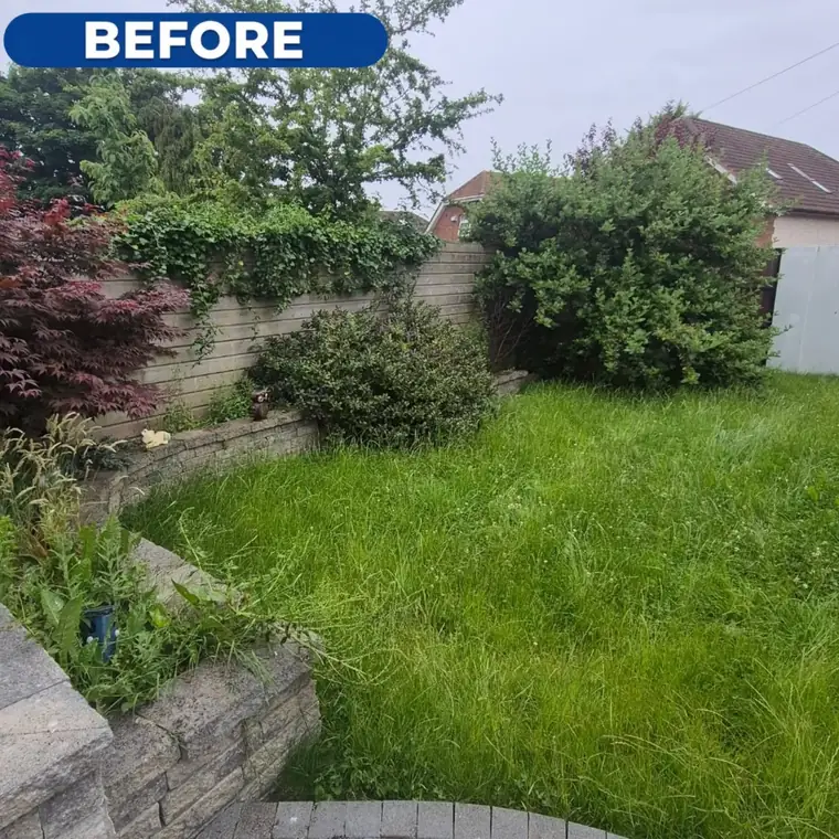 Back lawn before work, uneven grass and overgrown edges.