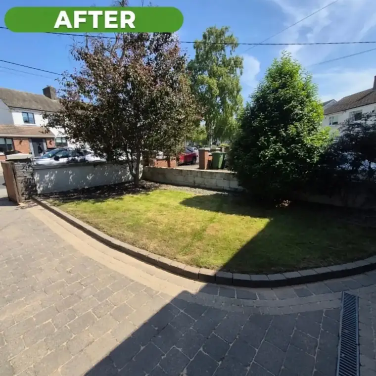 The same garden after the tidy-up, grass cut and borders cleared.